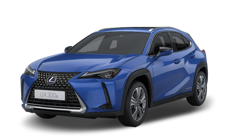 셀레셜 블루 글래스 플레이크 익스테리어