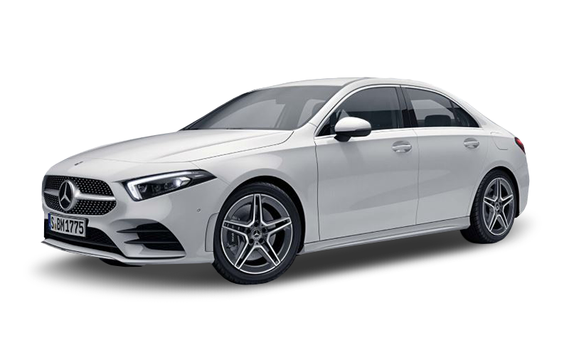 폴라 화이트 익스테리어