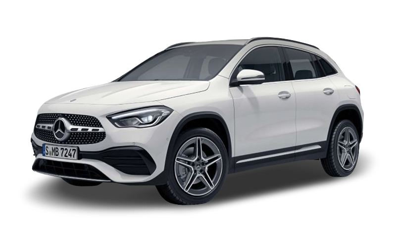 폴라 화이트 익스테리어