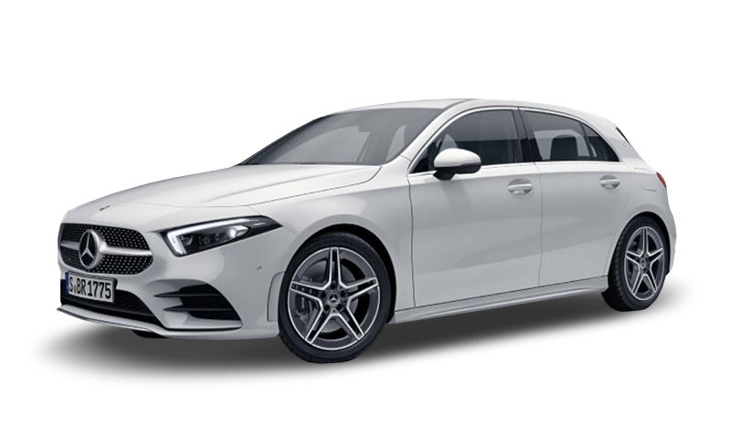 폴라 화이트 익스테리어