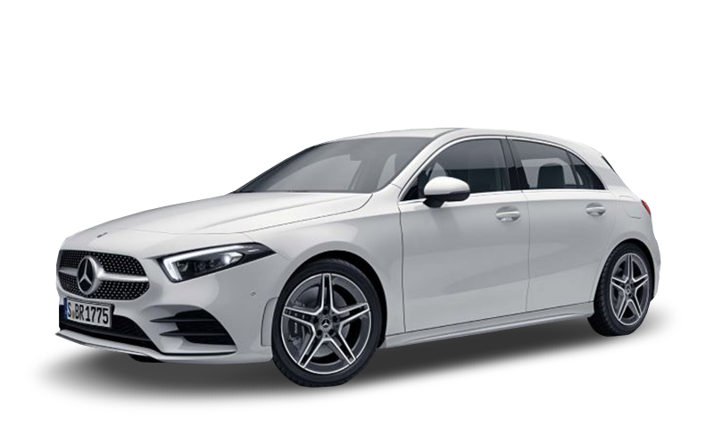 폴라 화이트 익스테리어