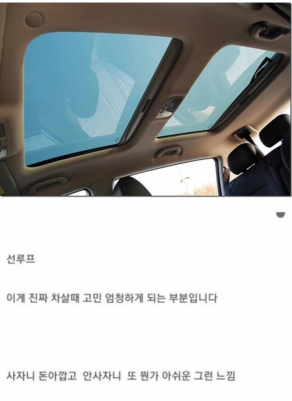 [투표] 호불호 겁나 갈리는 옵션 썸네일